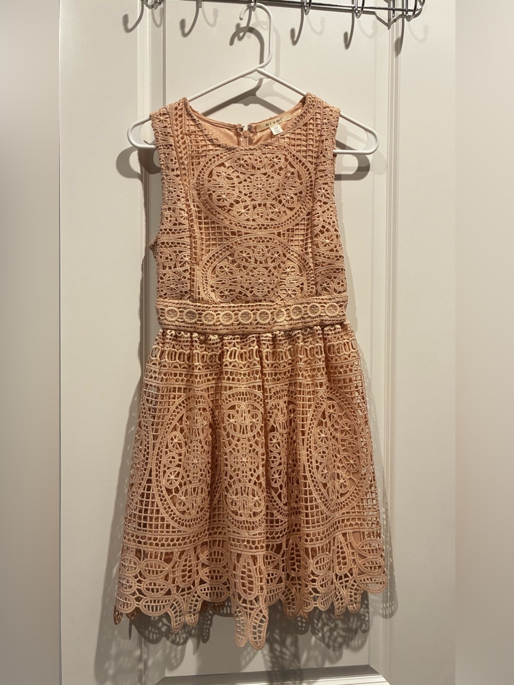Miami Fit and Flare Blush Pink Lace Dress XXS